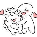 김해애견호텔 강아지유치원 맘바이 김해점 이미지