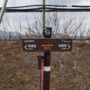 염하강철책길 이미지