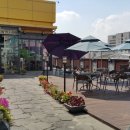 조인쉐프뉴욕 이미지