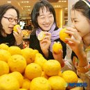 유자