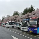 공단로가로수 티스토리