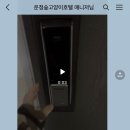 운정 숲 고양이호텔 이미지