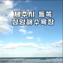 제주도 야간개장 해수욕장 삼양검은모래해변 시내권에서 동쪽 이미지