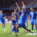 울산대파 이미지