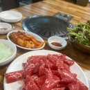 워킹도고 이미지