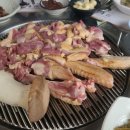 산골오리 이미지