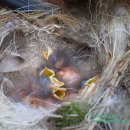 창공농장 이미지