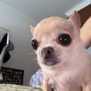 세븐일레븐 북진천IC점 | ♡aska