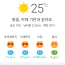 🌈 포항날씨 ☀️ 이미지