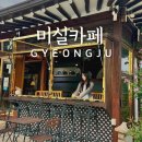 경주 황리단길 한옥카페 추천 애견동반 가능한 미실카페