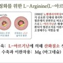 독일건강기능식품