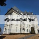 골드파크 | 홍천 비발디파크 소노펠리체 빌리지 골드 스위트 그랜드 파크뷰 내돈내산 후기