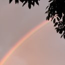 슬로시티게스트하우스 | 트랜스제주 2025 20K 후기