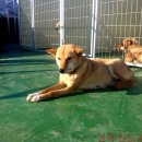 백순농장 이미지