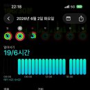 디즈니씨, 오픈런매니아의 6/2 태풍전야에 삼만보 찍고 온 후기 (+로봇공주님의 섬세한 표정연기)