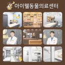 아이웰 동물의료센터 이미지