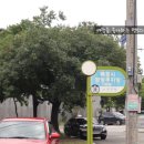 평화복어 이미지