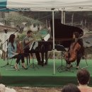 개와고양이 이미지