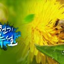 MBN TV - 2020년 10월25일(일) 일일 방송편성표 이미지