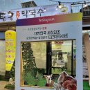 속초애견 더 이쁘개 | 애견동반가능 속초 들기름 막국수 맛집 “탑골막국수 본점”