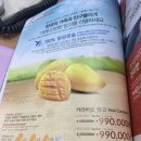 베트남 망고 선물 좋아요 이미지