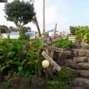 일출언덕신산게스트하우스 이미지