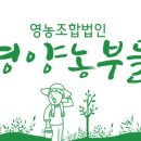 해담는집