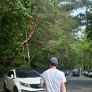 양산 내원사 계곡 수심 숨은 스팟 주차장 후기