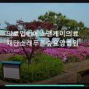 의료법인 에스앤케이의료재단 | 의료법인에스앤케이의료재단소래푸른숲요양병원 진료 과목 및 이용 안내