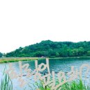 경충대로 2709번길 6 이미지