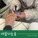 네일더초롱 네이버블로그