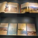 조선대학교박물관 이미지