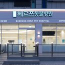 건강하게동물병원 이미지
