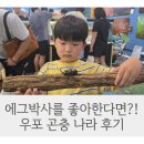 아이랑 가볼만한 곤충박물관｜창녕 우포곤충나라 체험 후기 (실내 나들이 추천)