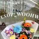 이솝우화플라워