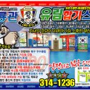 수룡관합기도 유림합기스쿨 이미지