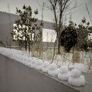 오리천국 이미지