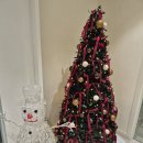 올림피움채움올피채의원 | 강남역피부과 튠페이스 올피채강남 후기