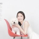 견우애견 이미지