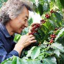 순례농장 이미지