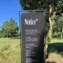 대지목장 | 대한목장 : 제주도 서귀포 홀리랜드 추천 아이와 가기 좋은 카페