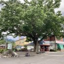 청인건강 이미지