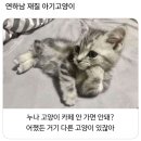 연하남 이미지