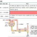 효율끝판왕 암기어플 : anki 문제 판매 이미지