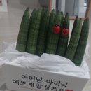 &lt;결혼 준비&gt; 광주 상견례 후기/ 상견례 준비/ 상견례 선물
