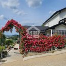 강화웰빙공인중개사사무소 이미지