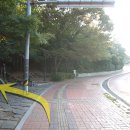 호랭이카 이미지