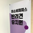 아소비 퍼피스 이미지