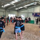 씨름연습장 이미지