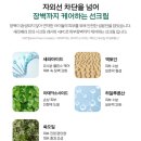 눈시림 , 자극 없는 아이도 사용가능한 온가족 선크림 추천 - 세라베라 아토 마일드 선크림 사용 후기